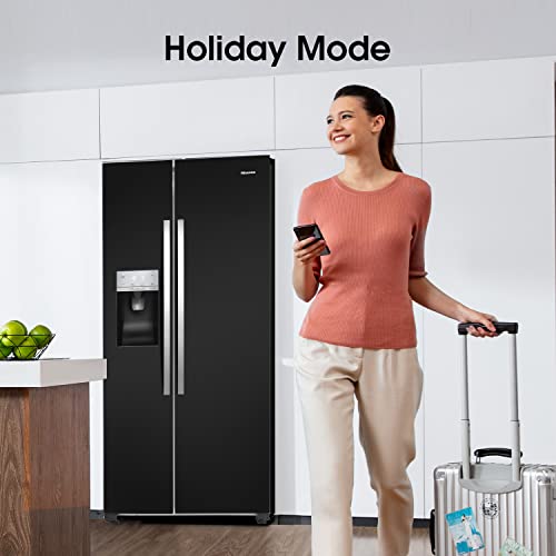 Hisense freistehende Side-by-Side Kühl-Gefrierkombination
